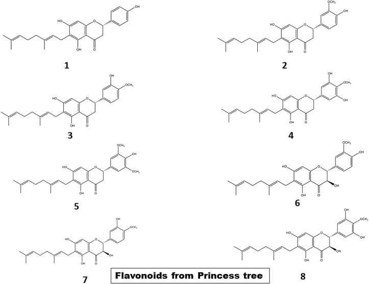 Fig. 8