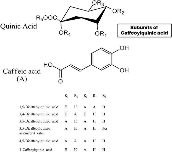 Fig. 10