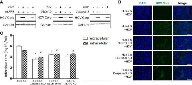 Figure 6