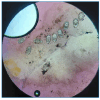 FIGURE 3: