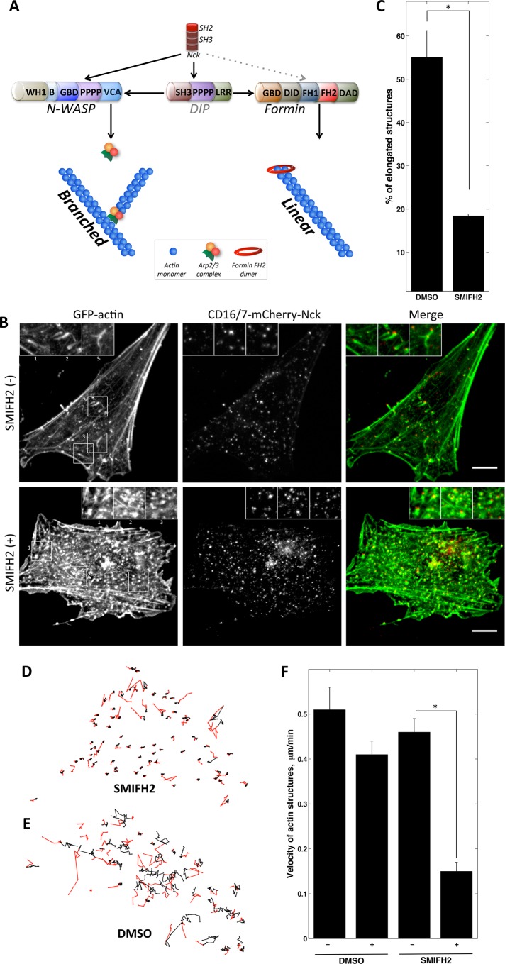 FIGURE 4: