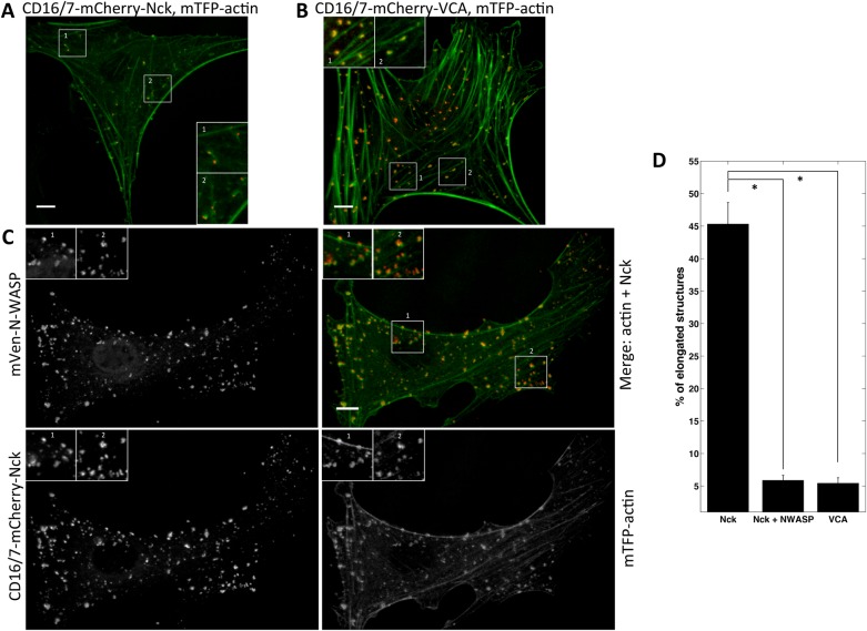 FIGURE 6: