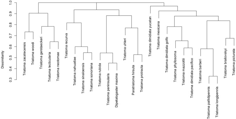 Figure 7