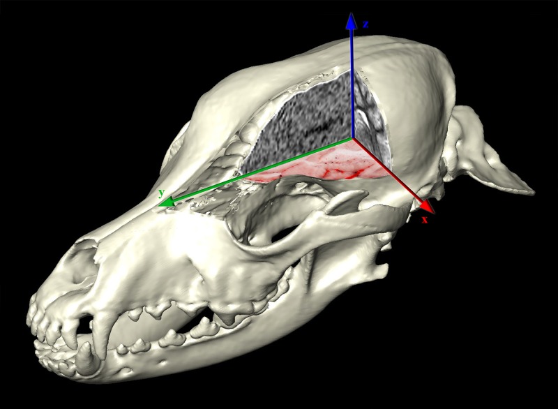 Fig 16