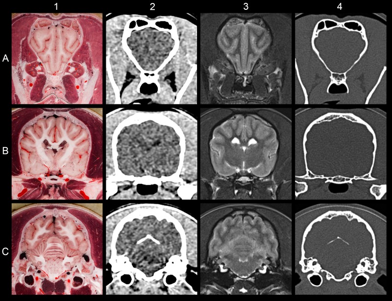 Fig 10