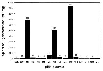 FIG. 3