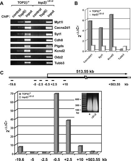 FIG. 6.