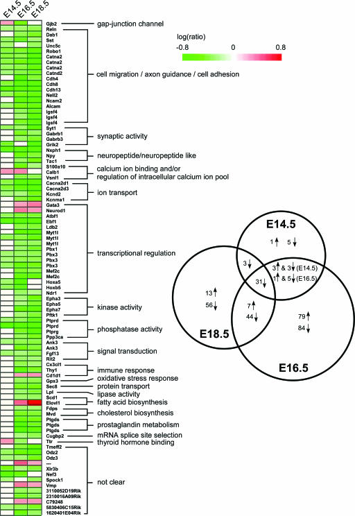 FIG. 3.