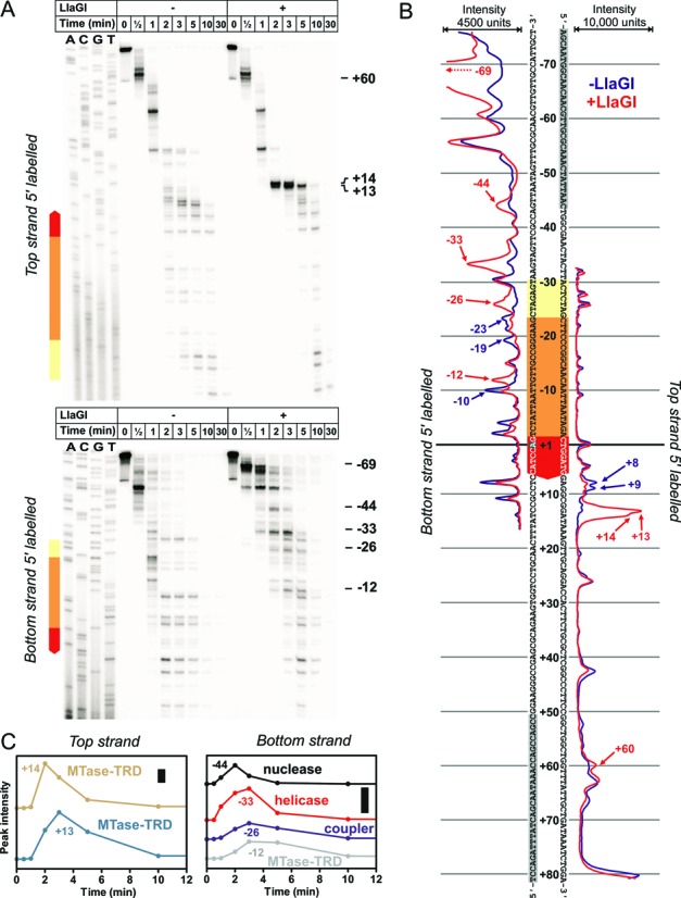 Figure 7.