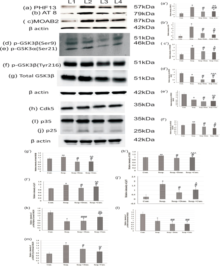 Fig.4