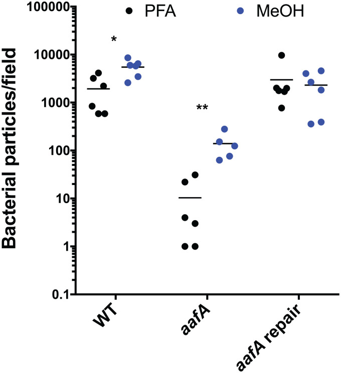 FIG 6