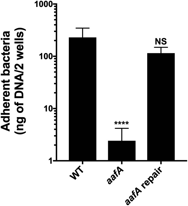 FIG 3