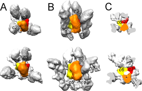 FIG 5 