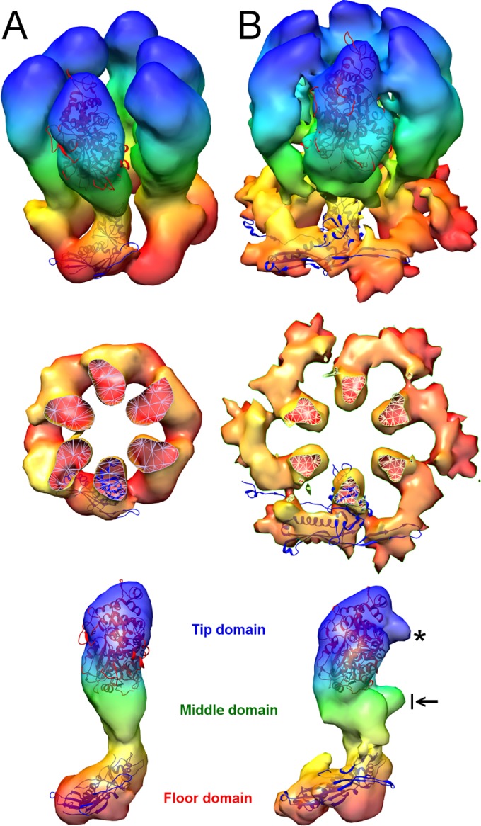 FIG 2 