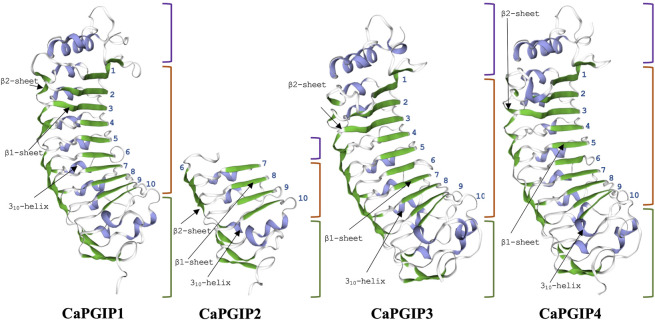 FIGURE 3