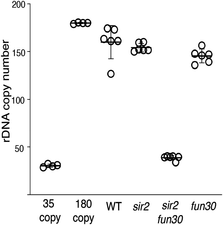 Figure 2-figure supplement 1.