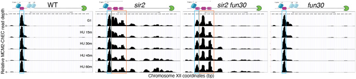 Figure 5-figure supplement 1.