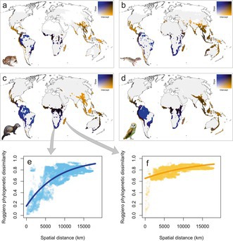 graphic file with name ELE-28-0-g006.jpg