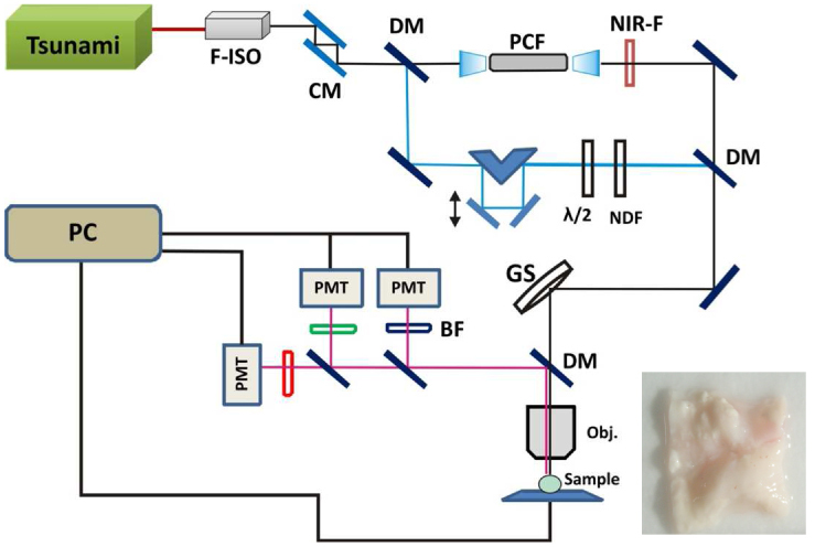 Fig. 1