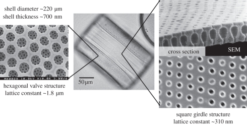 Figure 1.