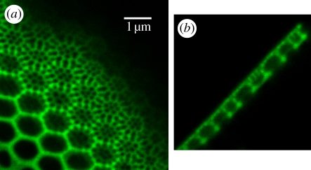 Figure 3.