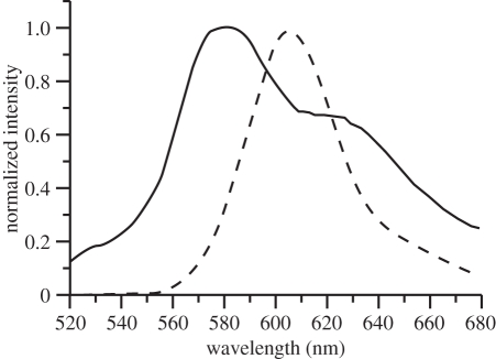 Figure 6.