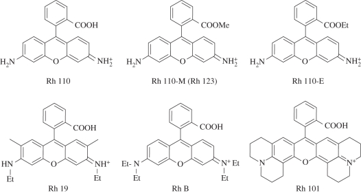 Figure 2.