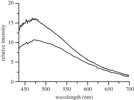 Figure 4.