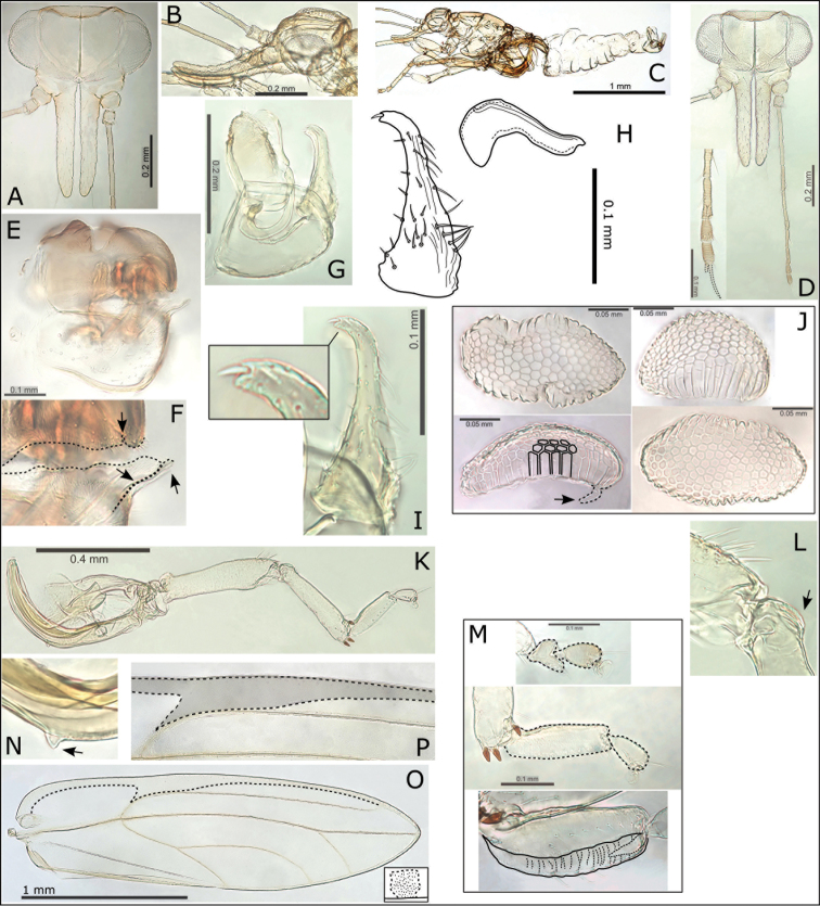 Figure 3.