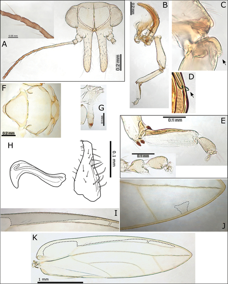 Figure 6.