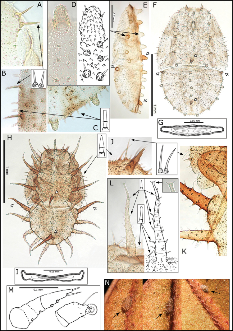 Figure 12.