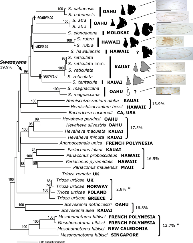 Figure 2.