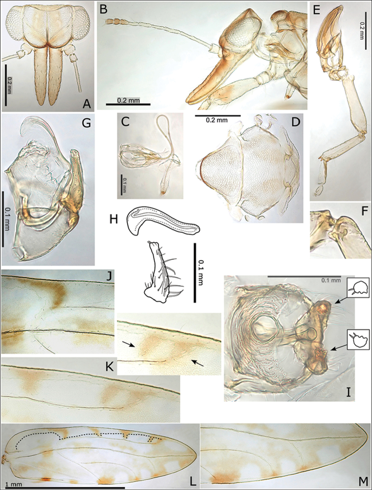 Figure 11.