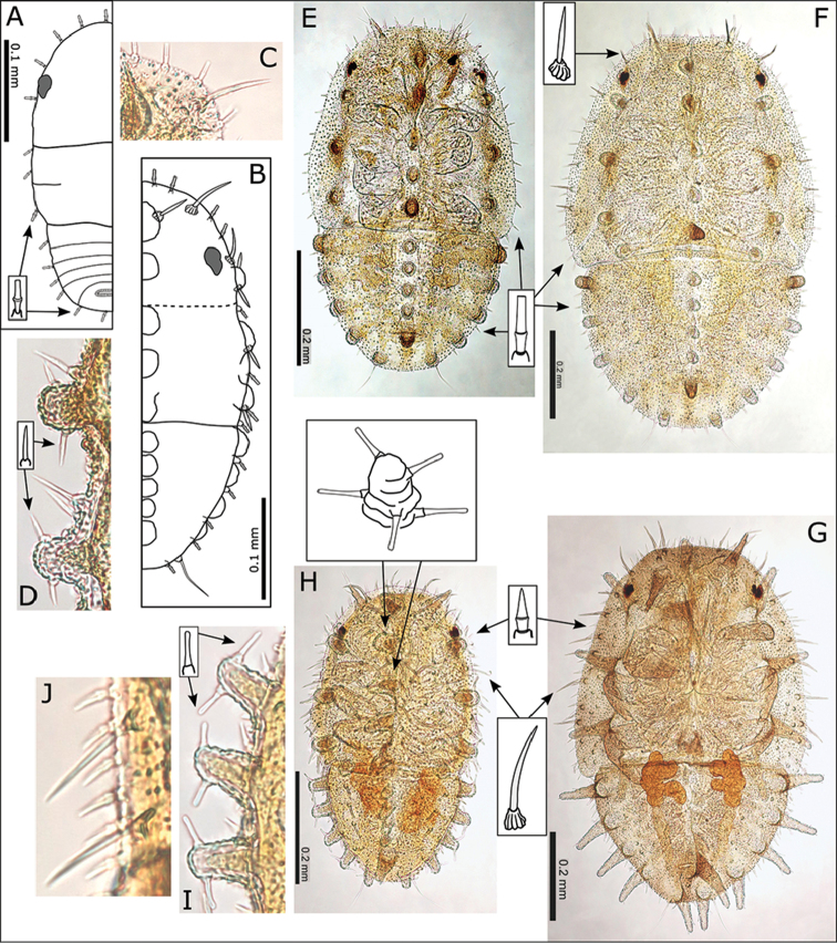 Figure 13.