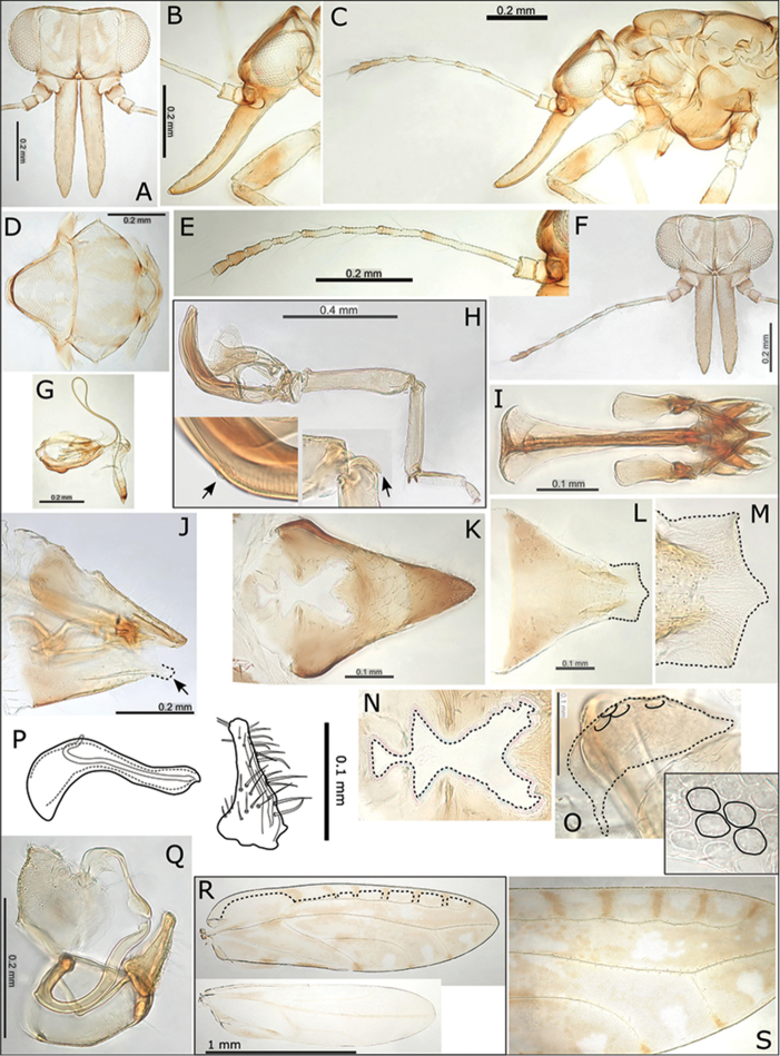 Figure 10.