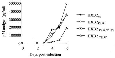 FIG. 2.