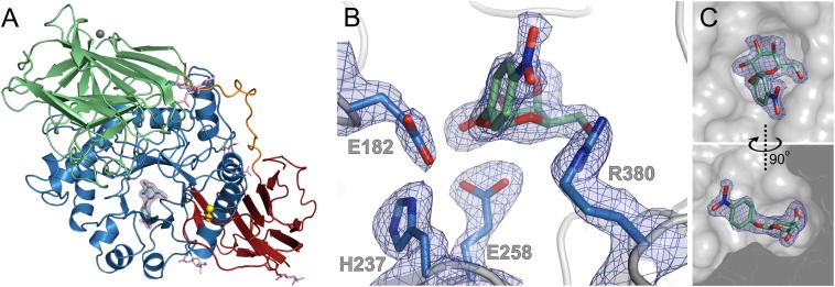 Fig. 2.