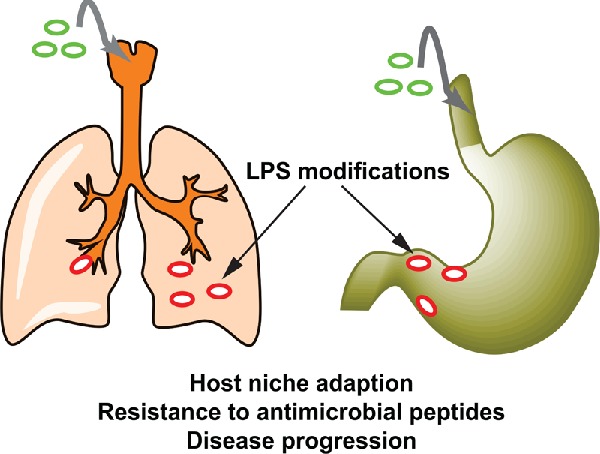 Graphical Abstract Figure.