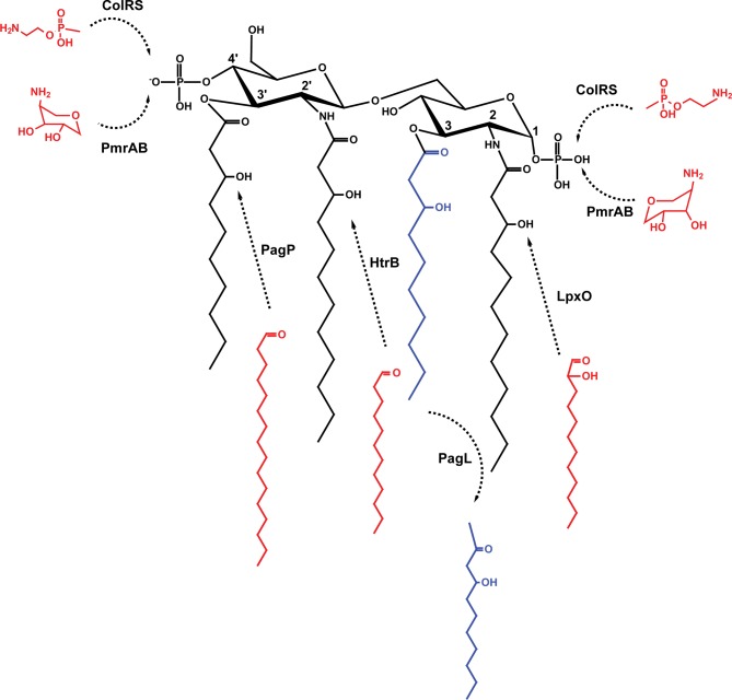 Figure 3.