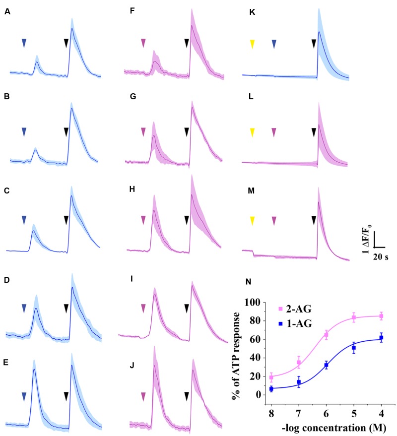 FIGURE 4