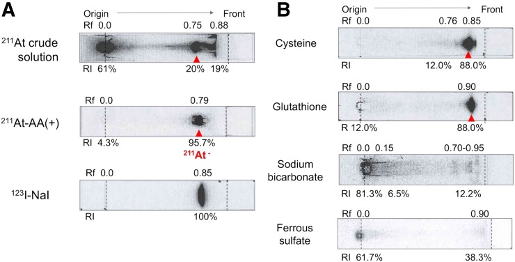 FIGURE 1.