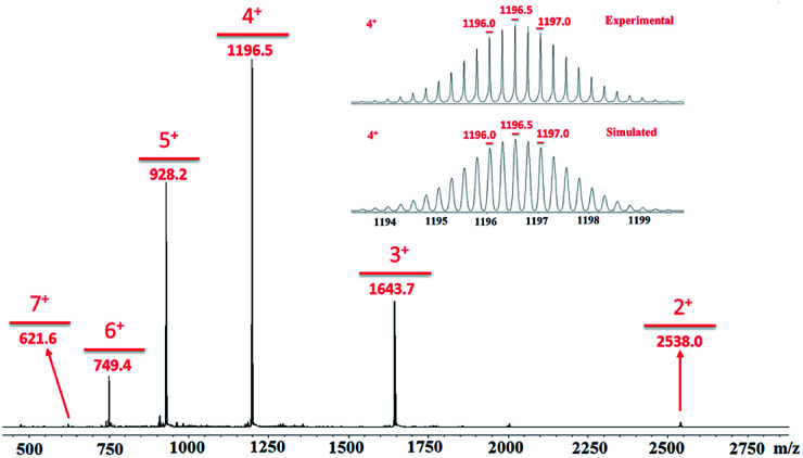 Fig. 3