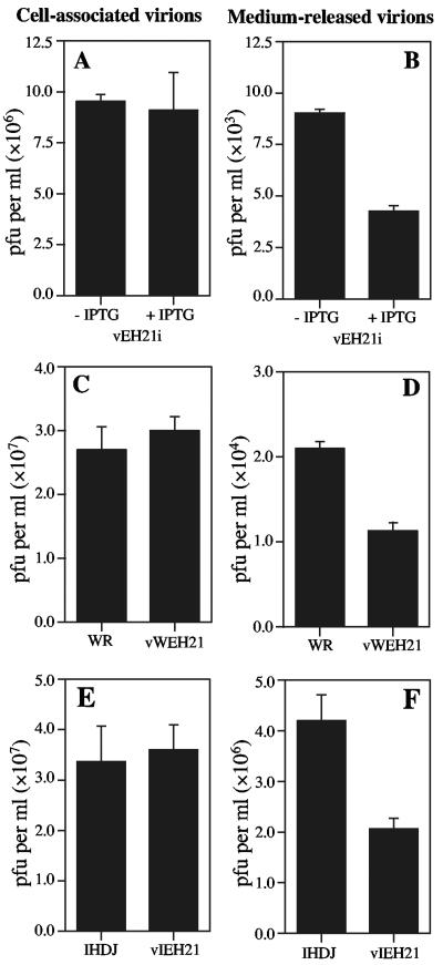 FIG. 8.