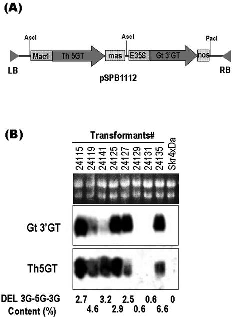 Figure 9.