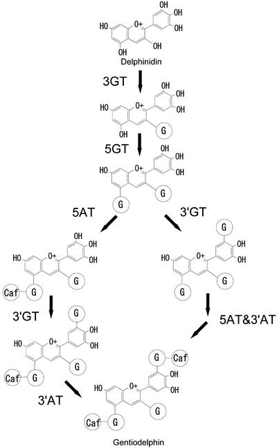 Figure 10.