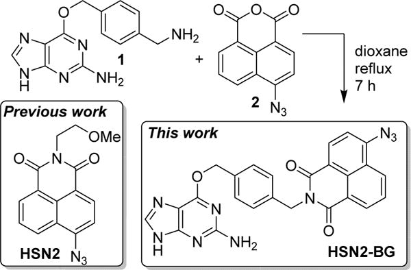 Scheme 1