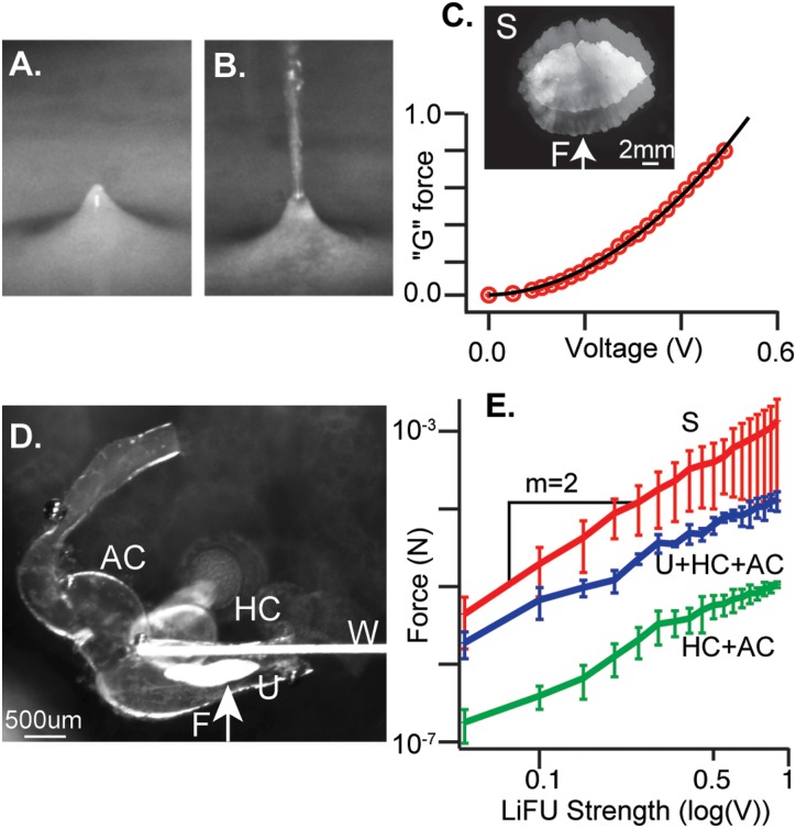 FIG. 8.