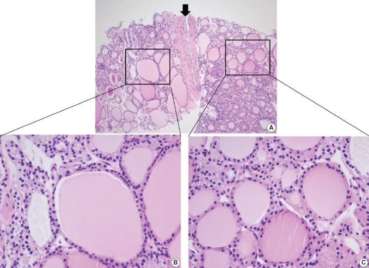 Fig. 7.