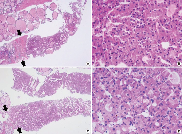 Fig. 8.