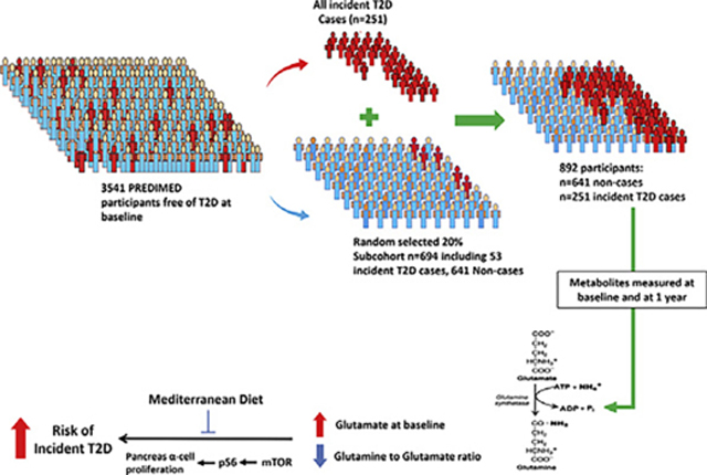 graphic file with name nihms-1816039-f0001.jpg